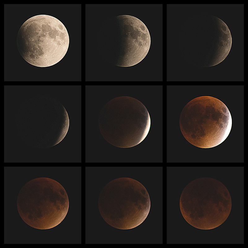 Illustration for article titled 34 Amazing Photos Of The Super Blood Moon